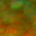 Bokeh-536